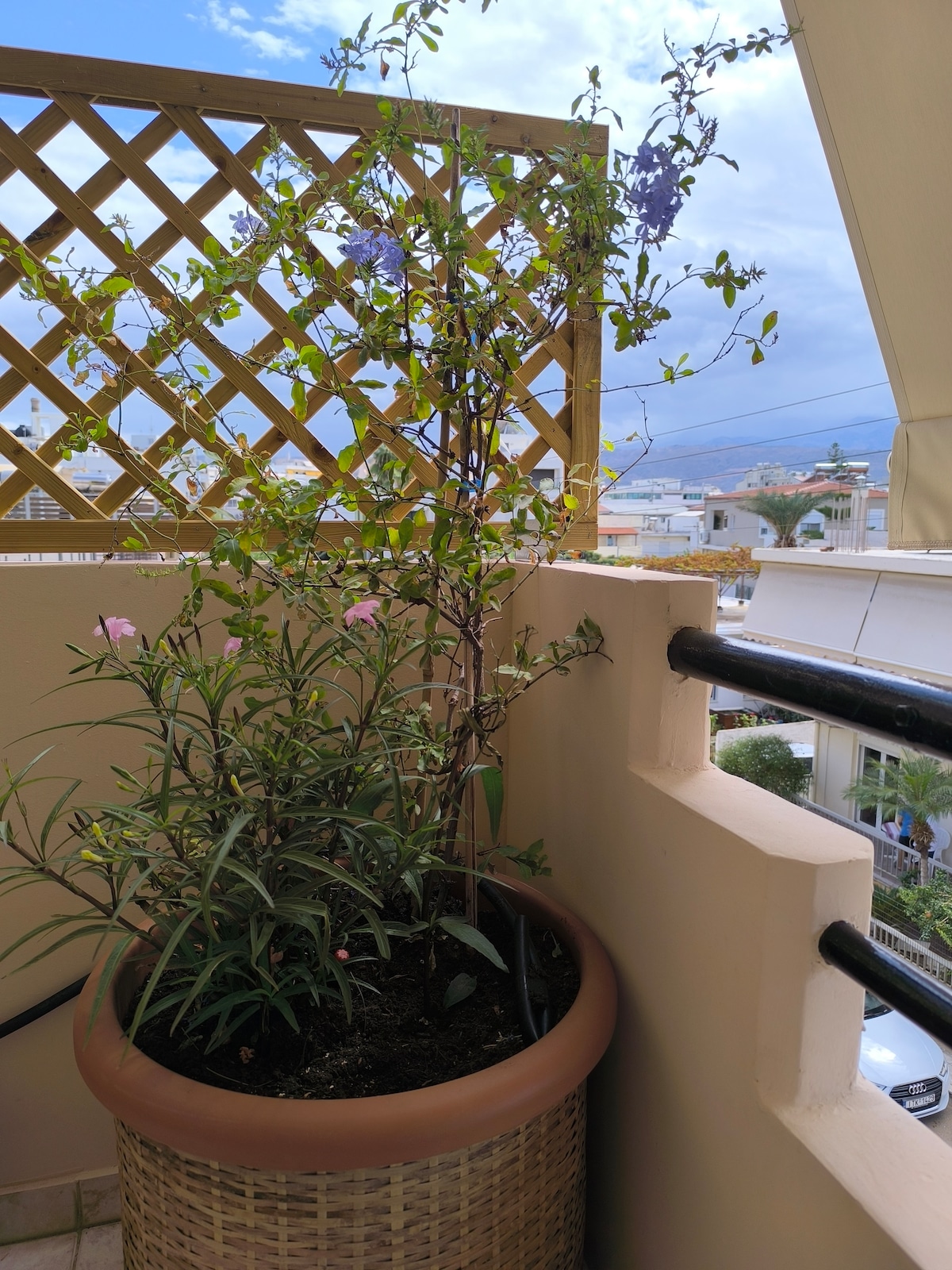 Balkon mit Pflanzen